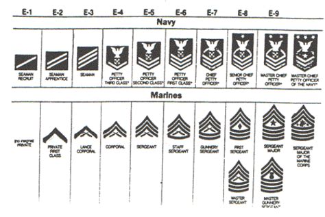 Navy Enlisted Rank Structure