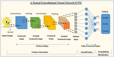 Convolution Neural Networks :Guide for your first CNN Project using ...