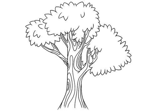 Free Simple Tree Drawings, Download Free Simple Tree Drawings png images, Free ClipArts on ...