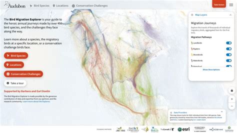 Audubon’s Bird Migration Explorer – The Map Room