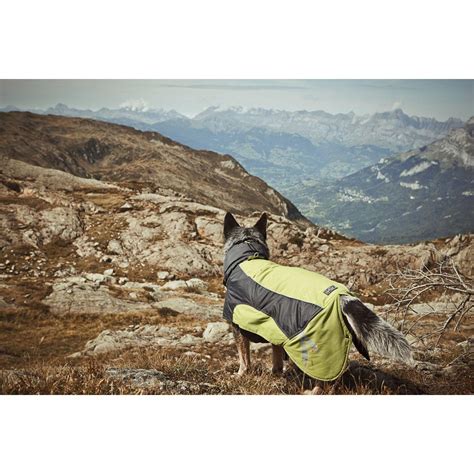 Hurtta Ultimate Warmer Dog Coat - Birch | BaxterBoo