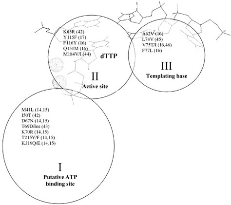 Location of the three major regions where mutations causing resistance... | Download Scientific ...