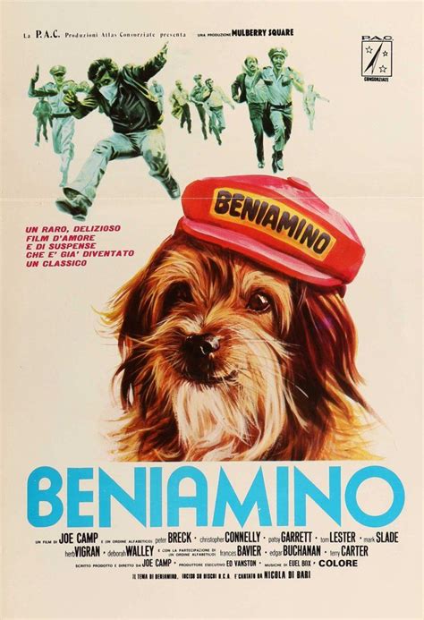 Benji (1974) | Movie posters, Italian movie posters, Movie posters vintage