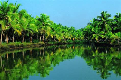 Fort Kochi Backwater Houseboat Shore Excursion Including Lunch 2024