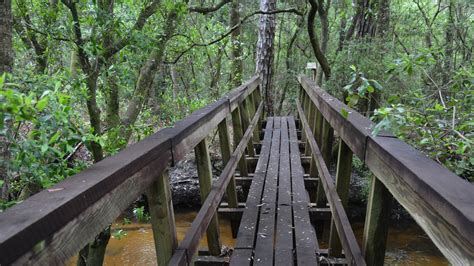 Hiking Eglin Air Force Base| biking paddling camping | Florida Hikes