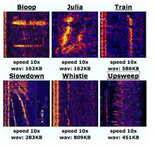 Unexplained sounds from the deep oceans: Bloop, Whistle, Julia, Train, Slowdown, Upsweep ...