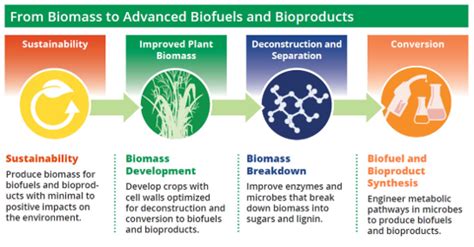 Biofuel Efficiency - Institute on the Environment