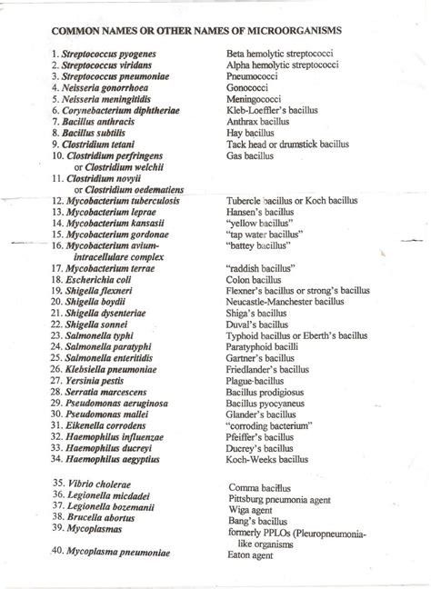 List of Bacteria 40 Scientific Names with 40 Common names List Of Bacteria, Mathematics Quotes ...