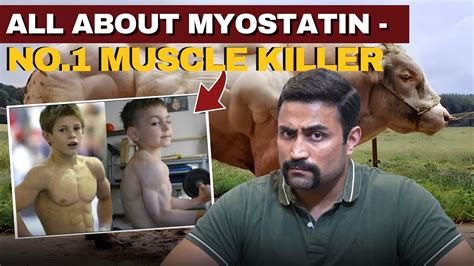 All about Myostatin - No.1 Muscle Killer - do supplements reduce it ?? - YouTube