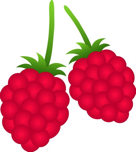 Berries clipart raspberry, Berries raspberry Transparent FREE for download on WebStockReview 2023