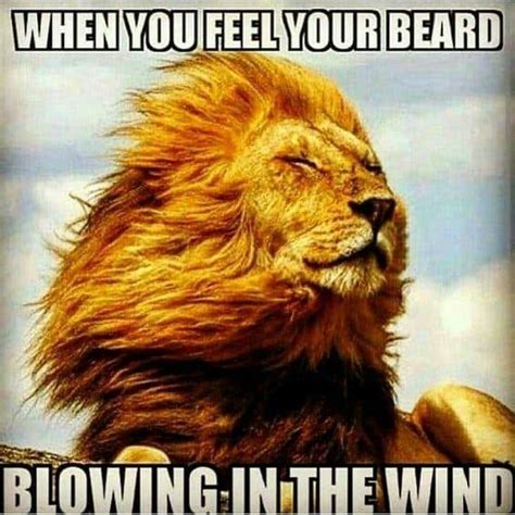 Best Funny Beard Memes – Bearded Humor And Quotes - No Shave Life