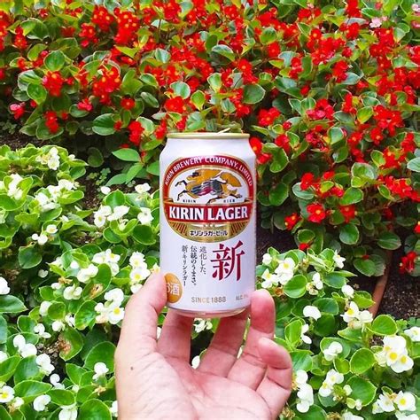 8 Popular Japanese Beer Brands And Their Must-Try Beers