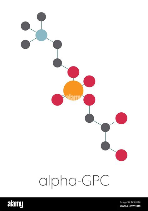 Alpha-GPC (L-Alpha glycerylphosphorylcholine, choline alfoscerate) molecule. Stylized skeletal ...