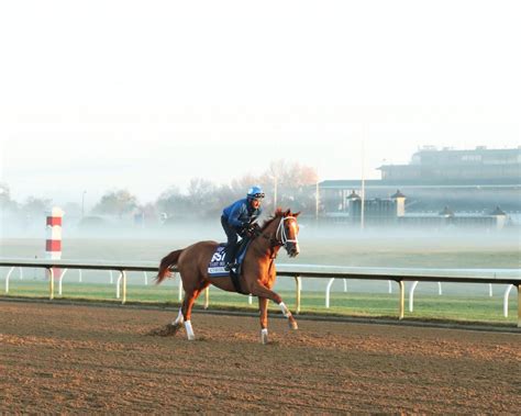 Meet the Contenders for the 2023 Pegasus World Cup | America's Best Racing