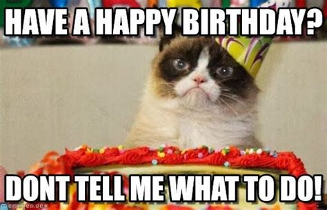 Have A Happy Birthday? | Cat birthday memes, Funny happy birthday meme ...