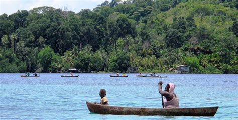 East Melanesian Islands Call for Proposals | CEPF