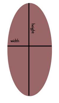 Area of an oval - Geometry - Quatr.us Study Guides