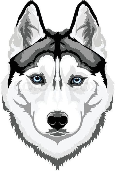 Realistic Husky Drawing | Free download on ClipArtMag