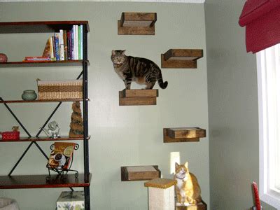 Maybe even better for climbing. | Cat shelves, Cat wall shelves, Cat wall