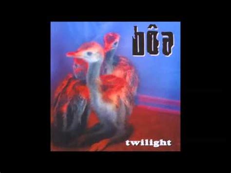 Boa – Twilight (2001, Cassette) - Discogs