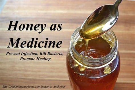 Scientists: What Makes Honey the Best Natural Antibiotic?