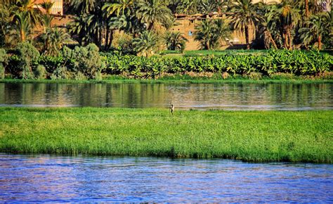 THE NILE RIVER | LIFELINE OF EGYPT | TML