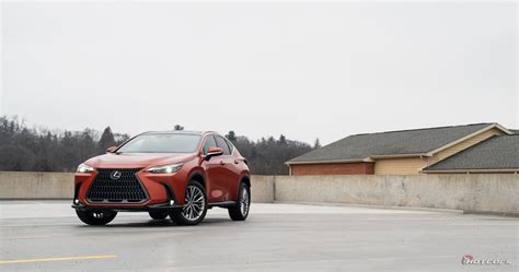 2023 Lexus NX 350h Review: An Executive Compact SUV