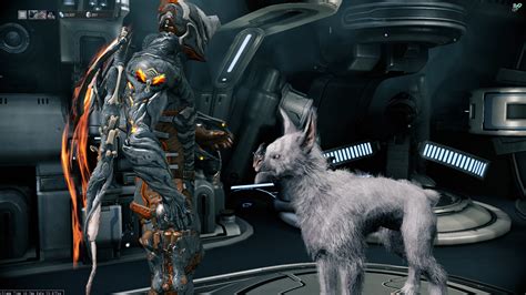 Image - Kubrow2.jpg | WARFRAME Wiki | FANDOM powered by Wikia