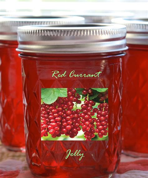 Red Currant Jelly | Cooking Mamas