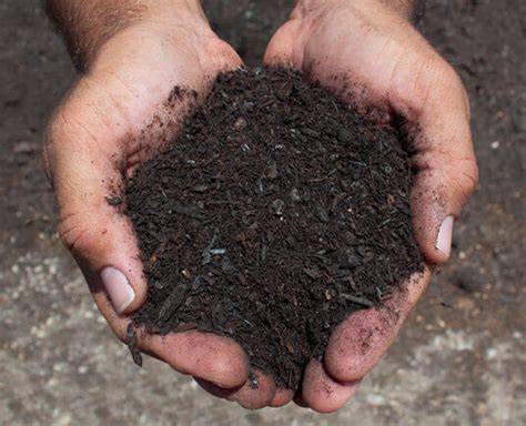 San Antonio Leaf Mold Compost | New Earth Compost