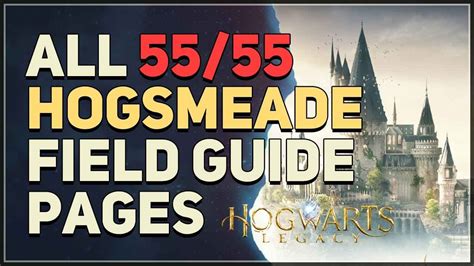 All 55 Hogsmeade Field Guide Pages Hogwarts Legacy - YouTube