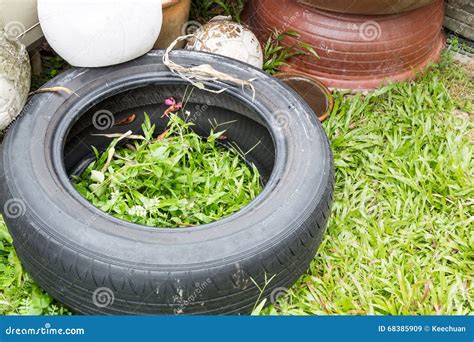 Used Tyres Potentially Store Stagnant Water and Mosquitoes Breed Stock Image - Image of garden ...