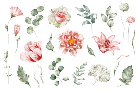 Premium Photo | Watercolor floral illustration set delicate flowers for wedding invitations ...