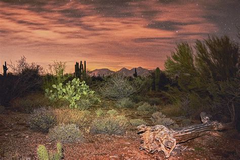 The Sonoran Desert at night Photograph by Chance Kafka - Fine Art America