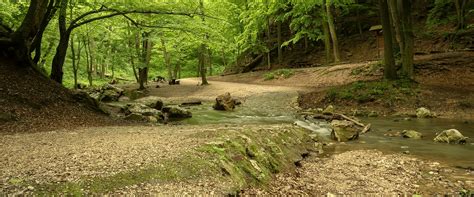 Hiking in Virginia – Best Trails Throughout the State