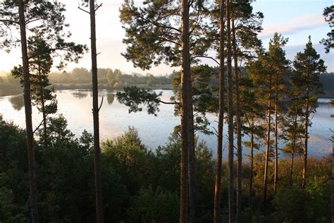 Fondos de Pantalla 1500x1000 Lago Lituania Naturaleza descargar imagenes