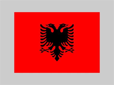 Albania flag, official colors and proportion. Vector illustration. 7587317 Vector Art at Vecteezy