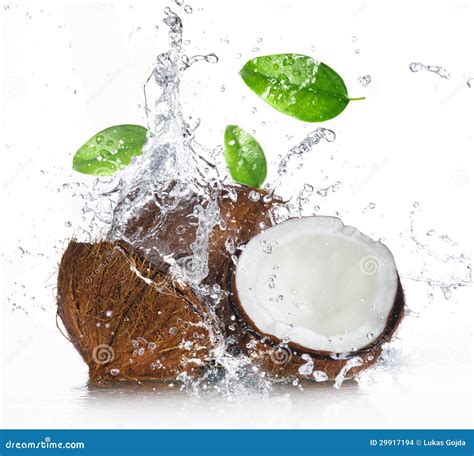 Cracked Coconut with Splashing Water Stock Photo - Image of space, motion: 29917194