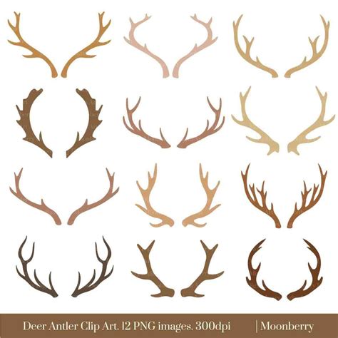 Antlers clipart reindeer ear, Antlers reindeer ear Transparent FREE for download on ...