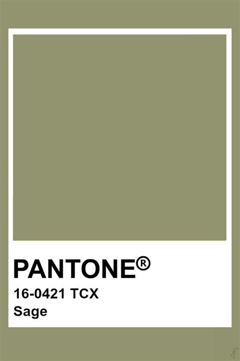 Pantone Sage | Pantone colour palettes, Pantone color chart, Pantone palette