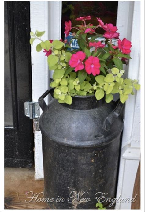 Garden Containers, Container Plants, Garden Planters, Container Gardening, Old Milk Jugs, Milk ...