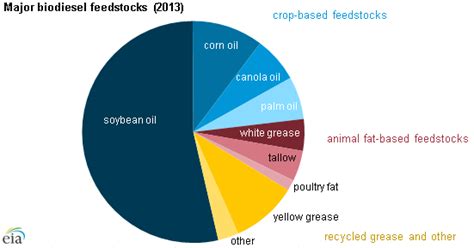 Biofuels production drives growth in overall biomass energy use over past decade - Today in ...