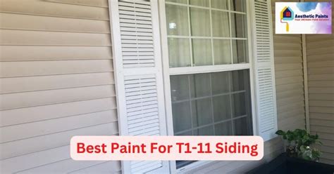 Best Paint For T1-11 Siding To Give The Exterior An Aesthetic Look - Aesthetic Paints!