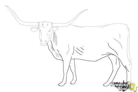 How to Draw a Longhorn - DrawingNow