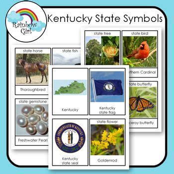 Kentucky State Symbols | State symbols, New york state, States project