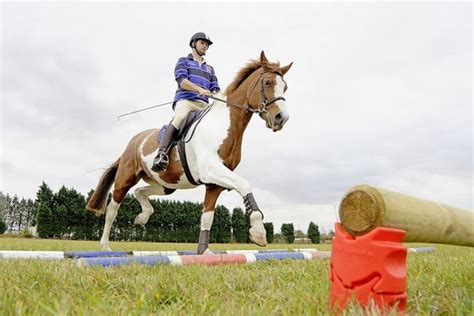 Which jumps do what? | Your Horse | Videos & Advice | Riding Advice | Show Jumping | Horses ...