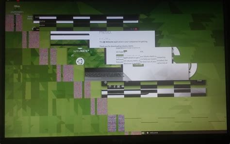 20.04 Display issues with AMD GPU - Hardware - Ubuntu MATE Community