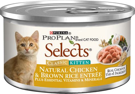 High Protein Cat Food | Download Photos