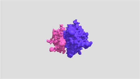 Ribosome - Download Free 3D model by MajoraMaster [fec21ff] - Sketchfab