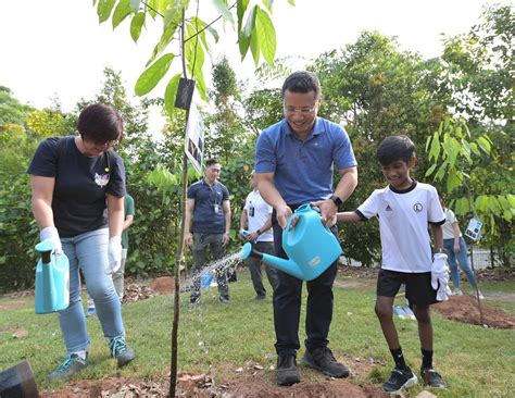 NParks to hit goal of planting 1 million trees in S'pore by end-2027, 3 ...